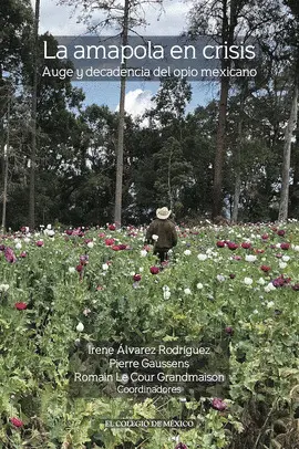 AMAPOLA EN CRISIS, LA