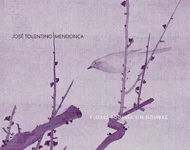 FLORES TODAVÍA SIN NOMBRE