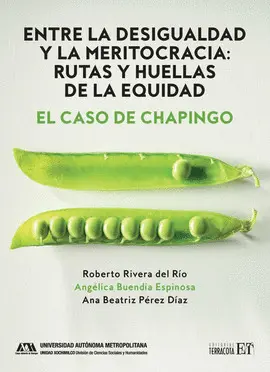 Entre la Desigualdad y la Meritocracia: Rutas y Huellas de la Equidad