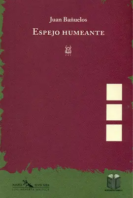 ESPEJO HUMEANTE