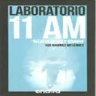 Laboratorio 11 Am