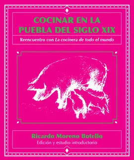 COCINAR EN LA PUEBLA DEL SIGLO XIX