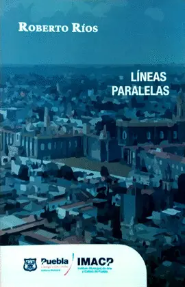LÍNEAS PARALELAS LÍNEAS PARALELAS