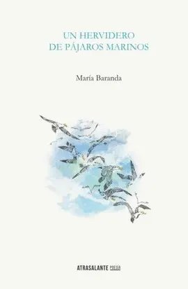 UN HERVIDERO DE PÁJAROS MARINOS