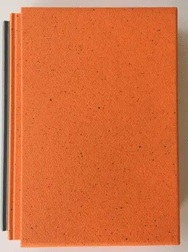 FUNDACIÓN / LA COLECCIÓN, LA