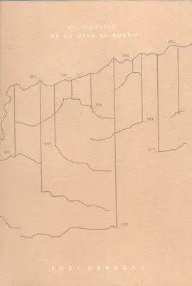 Incendio de la Mina el Bordo, el