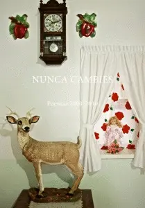 NUNCA CAMBIES