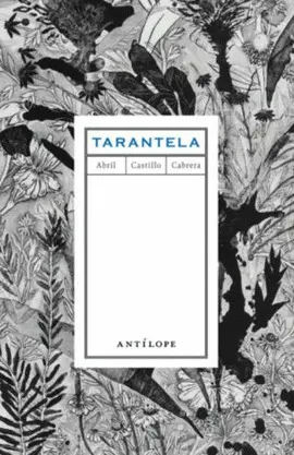 TARANTELA TARANTELA
