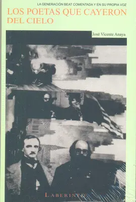 POETAS QUE CAYERON DEL CIELO, LOS
