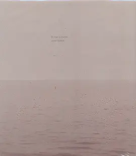 DE MAR Y AMARTE