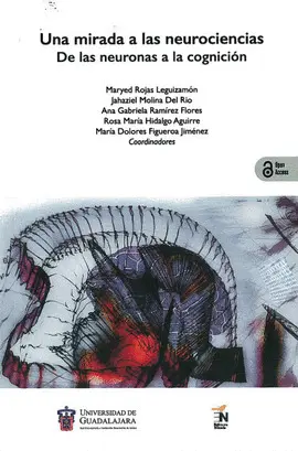 UNA MIRADA A LAS NEUROCIENCIAS UNA MIRADA A LAS NEUROCIENCIAS
