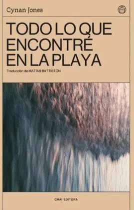 TODO LO QUE ENCONTRÉ EN LA PLAYA