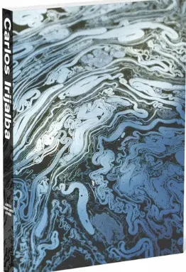 A ROCK TURNS INTO A FROG