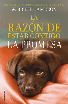 RAZÓN DE ESTAR CONTIGO, LA RAZÓN DE ESTAR CONTIGO, LA