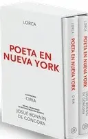 POETA EN NUEVA YORK POETA EN NUEVA YORK