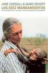 Diez Mandamientos, los