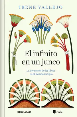 Infinito en un Junco, el