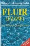 Fluir (Flow)