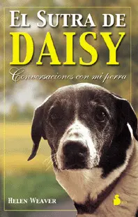 Sutra de Daisy, el