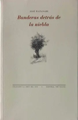 BANDERAS DETRÁS DE LA NIEBLA