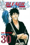 BLEACH 30