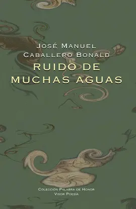 RUIDO DE MUCHAS AGUAS RUIDO DE MUCHAS AGUAS
