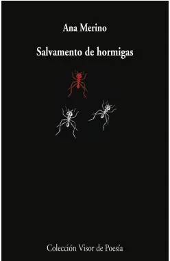 SALVAMENTO DE HORMIGAS