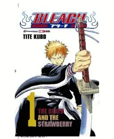 Bleach #1