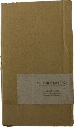 MOTRICIDAD FINA MOTRICIDAD FINA