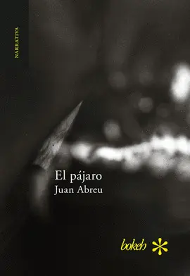 Pájaro, el