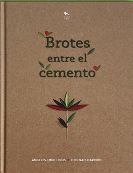 BROTES ENTRE EL CEMENTO