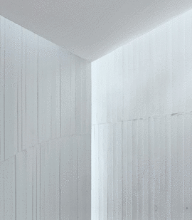LUZ, FORMA, ACTO Y SMBOLO