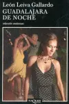 Guadalajara de Noche