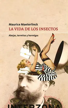 VIDA DE LOS INSECTOS, LA VIDA DE LOS INSECTOS, LA